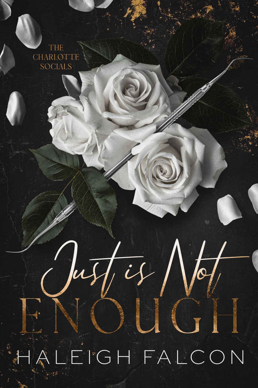 Cover of Just Is Not Enough