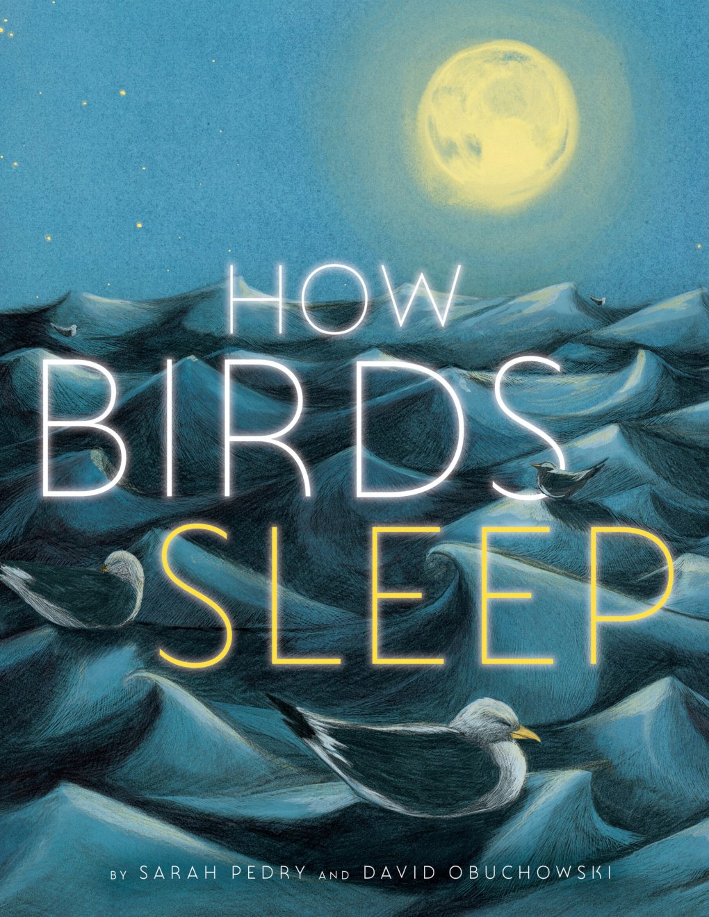 Cover of How Birds Sleep