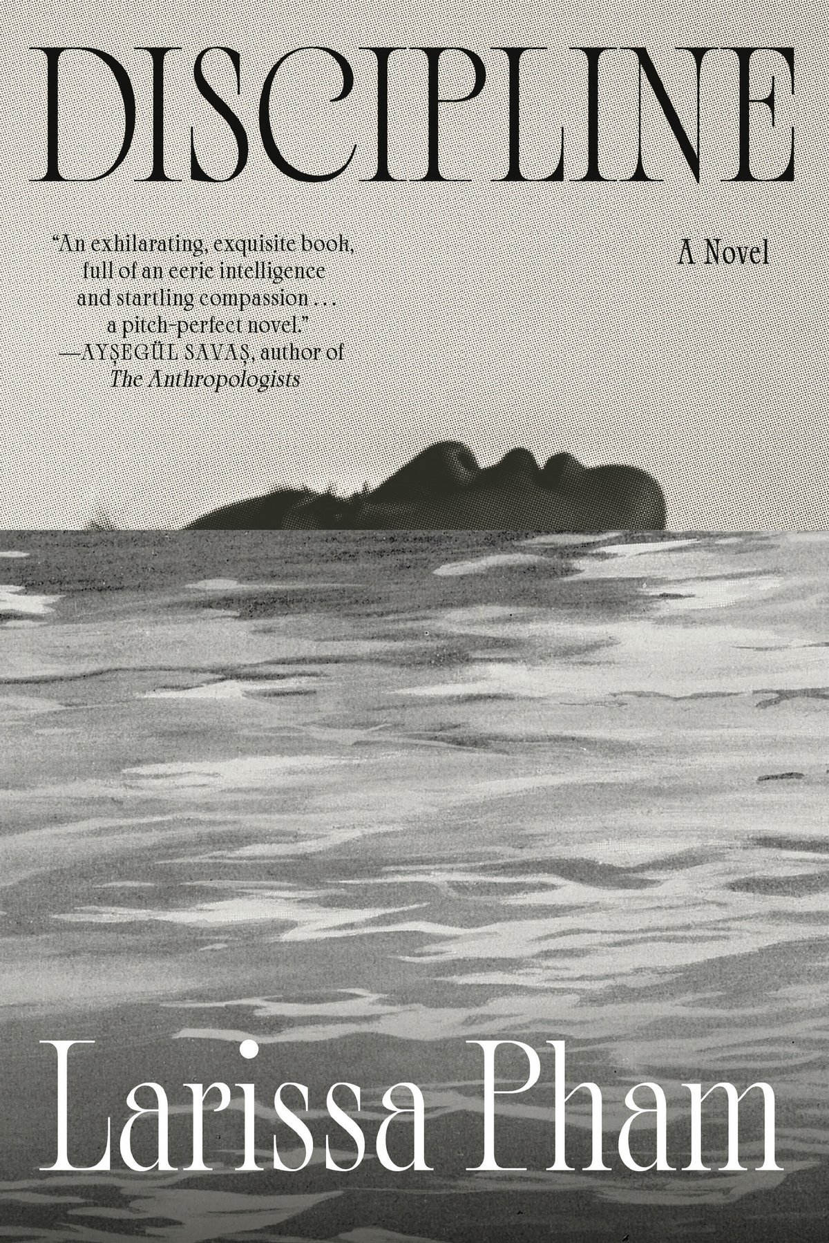 Cover of Discipline