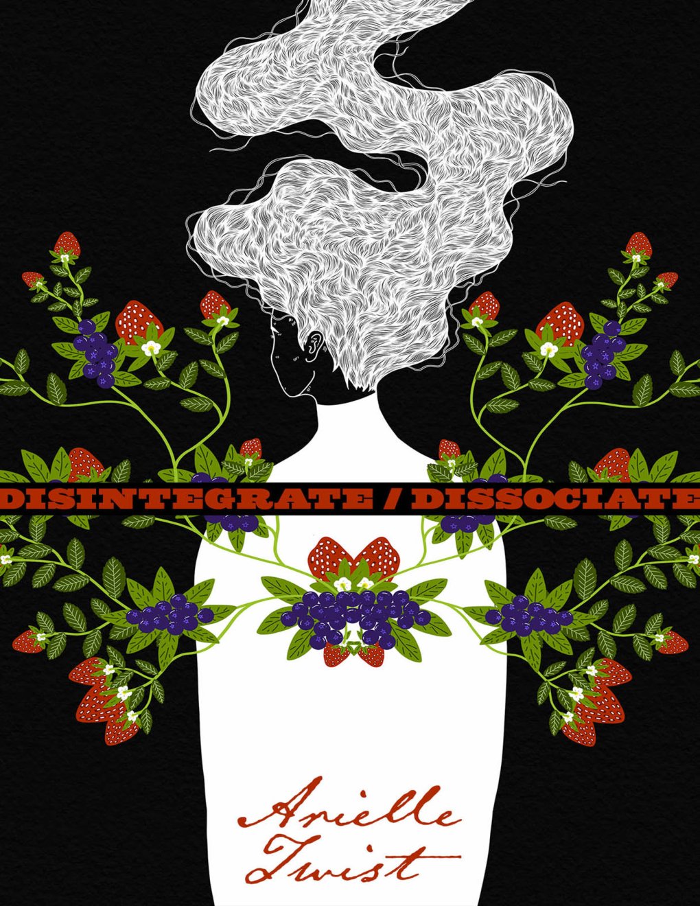 Cover of Disintegrate/Dissociate
