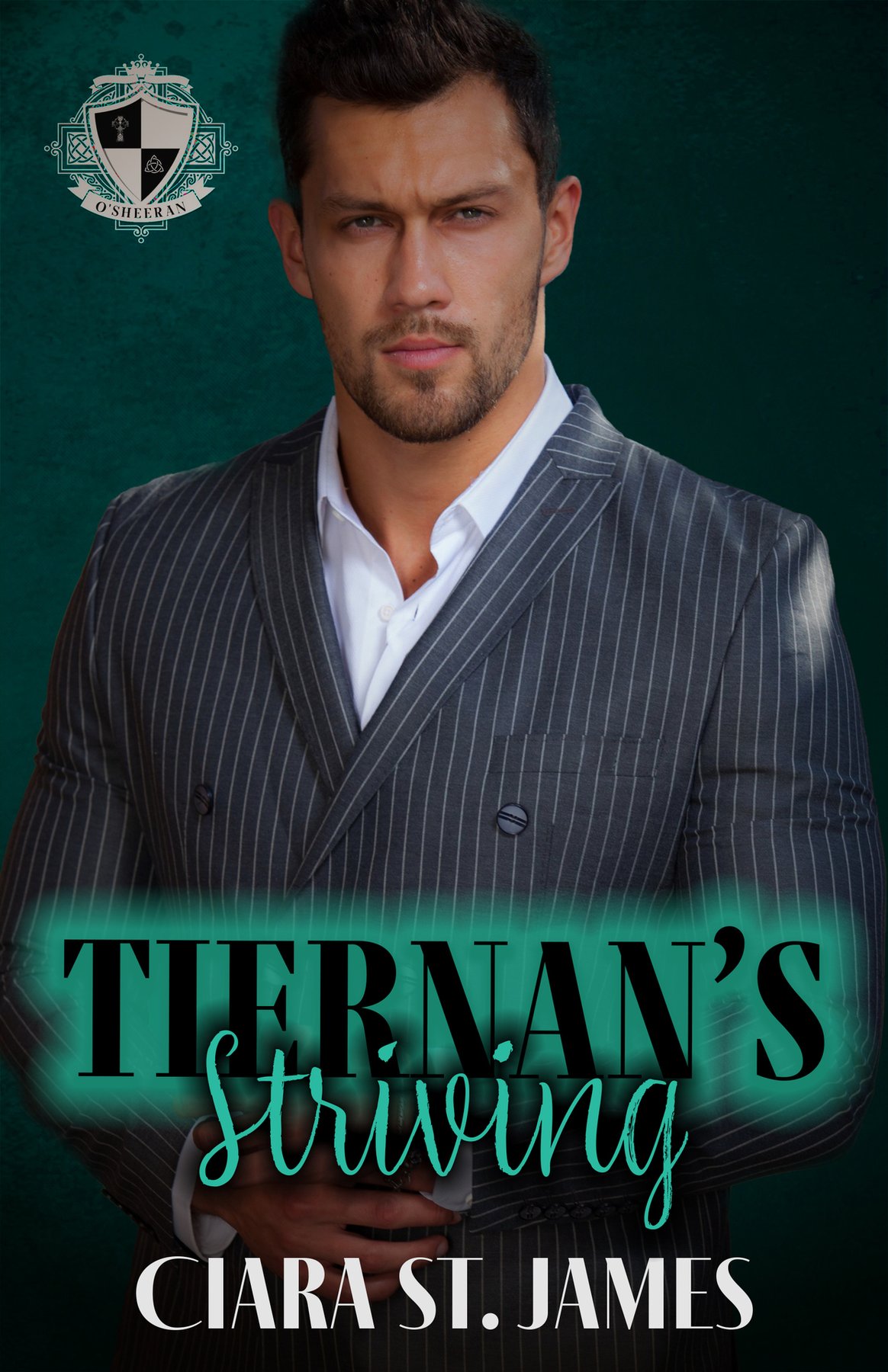 Cover of Tiernan's Striving (2024)