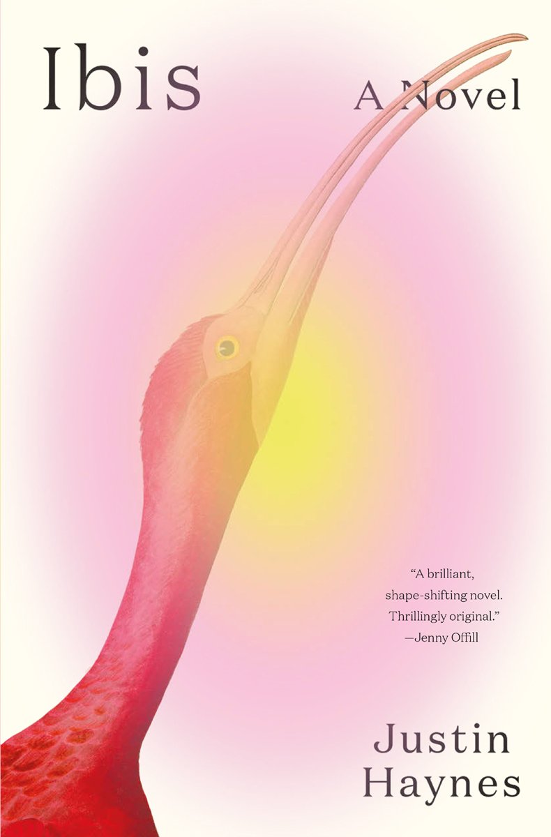 Cover of Ibis