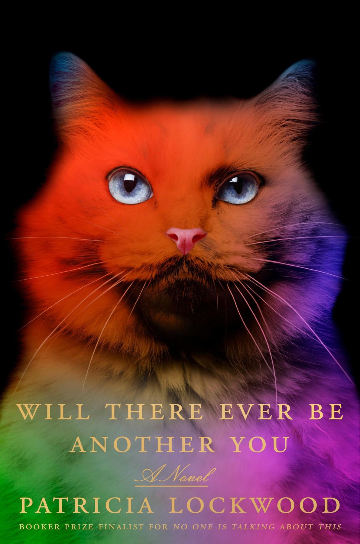 Cover of Will There Ever Be Another You; A Novel (1745)
