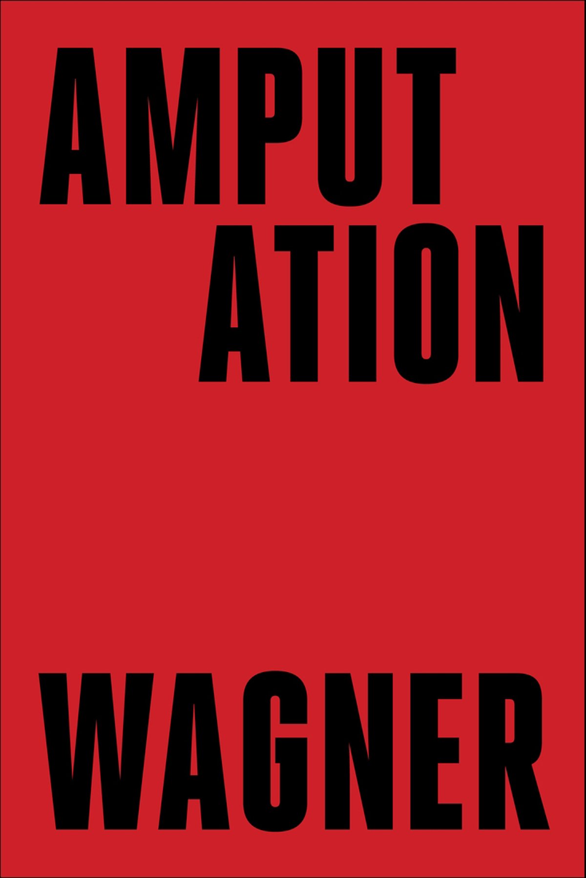 Cover of Amputation
