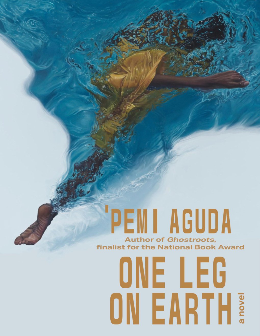 Cover of One Leg on Earth