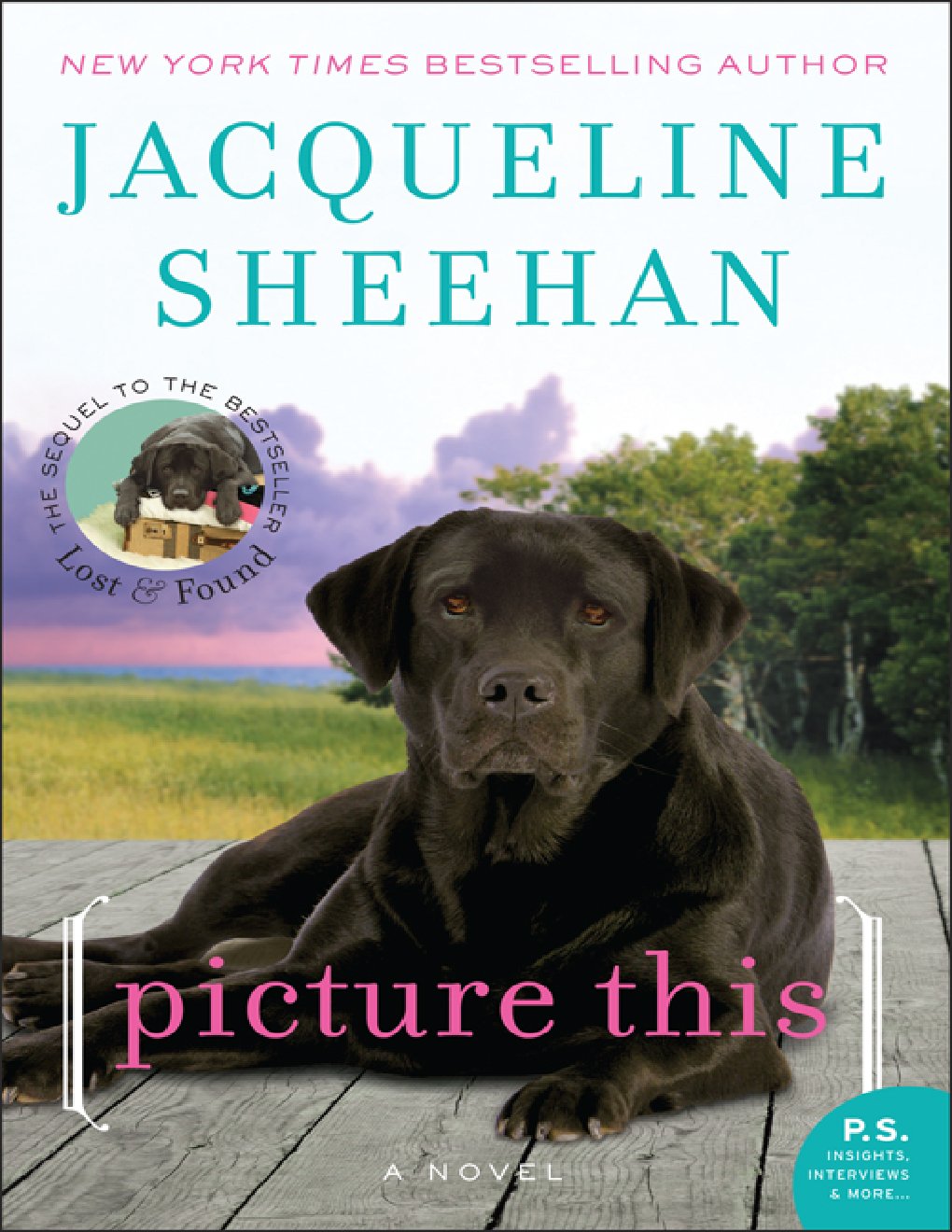 Cover of Picture This