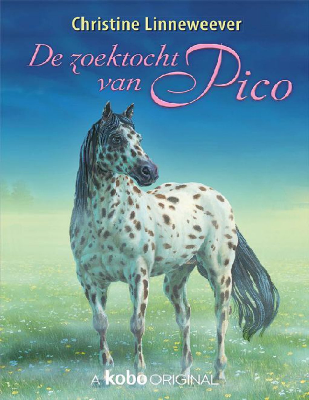 Cover of De zoektocht van Pico