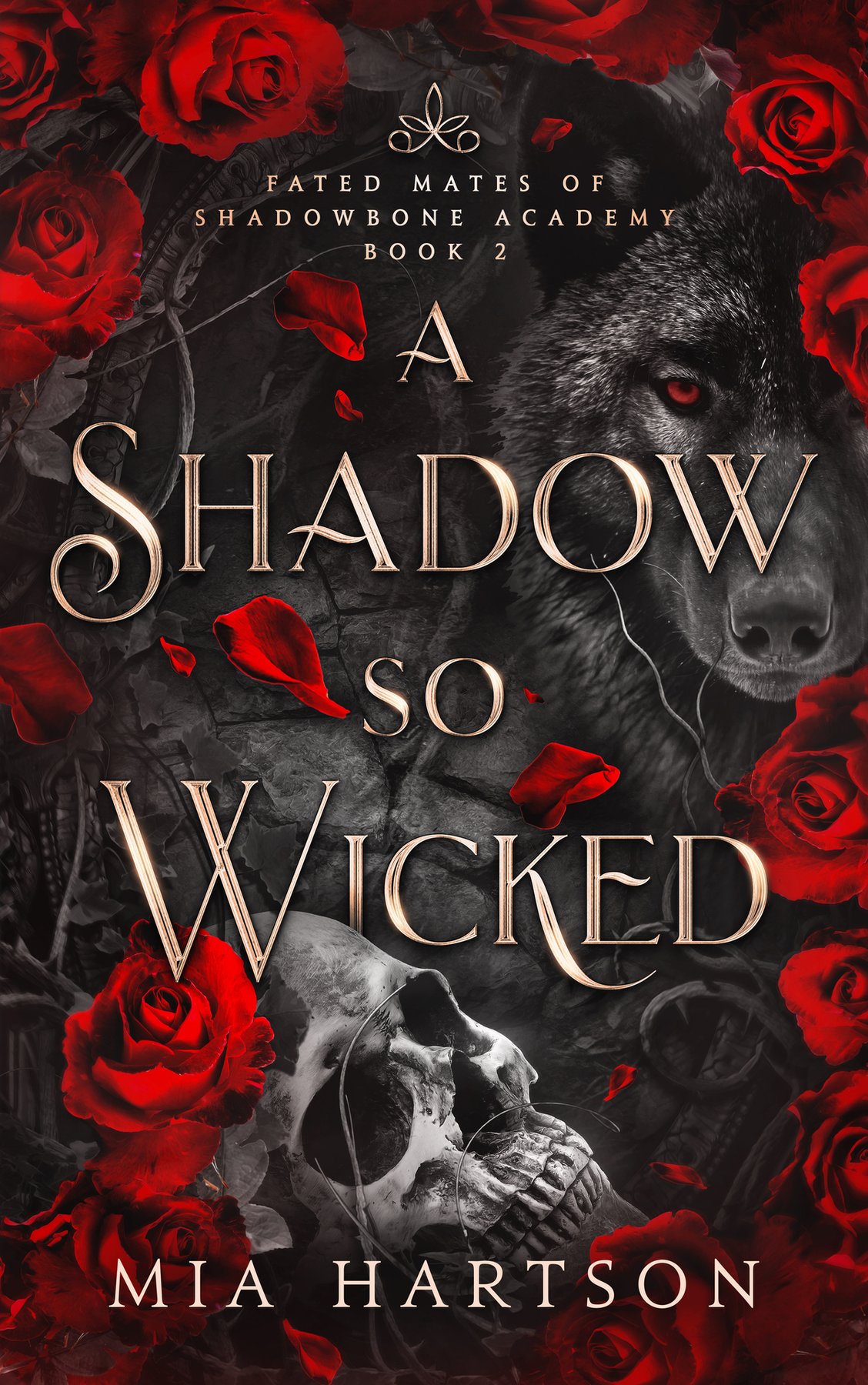 Cover of A Shadow So Wicked