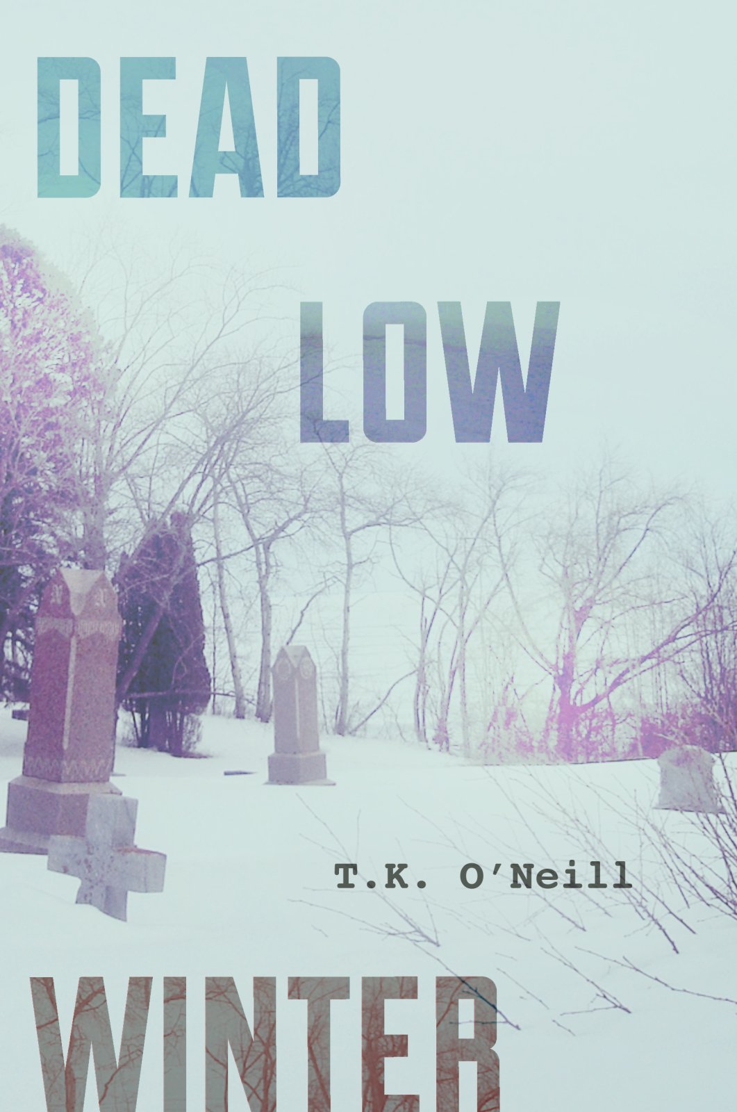 Cover of Dead Low Winter