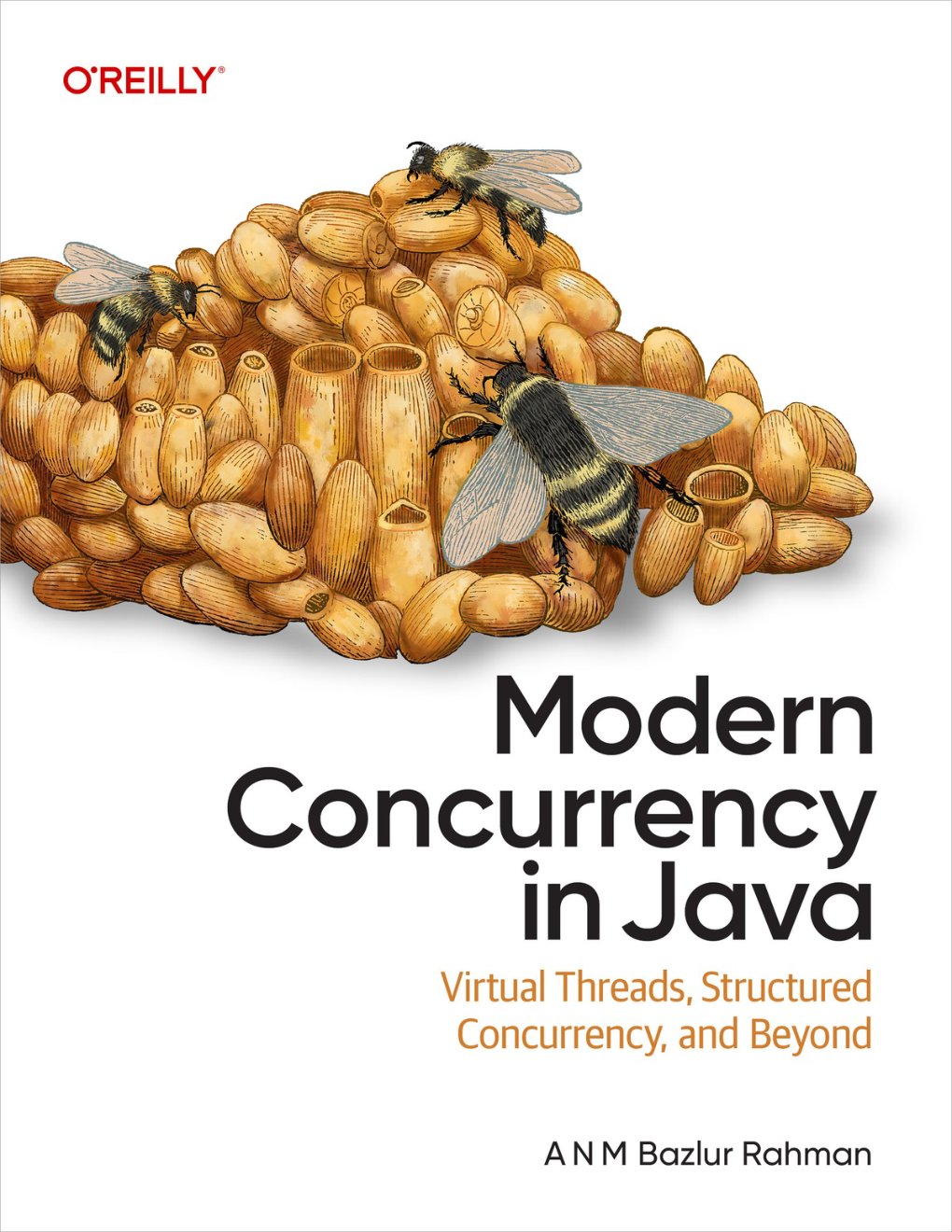 Cover of Modern Concurrency in Java (for True Epub)