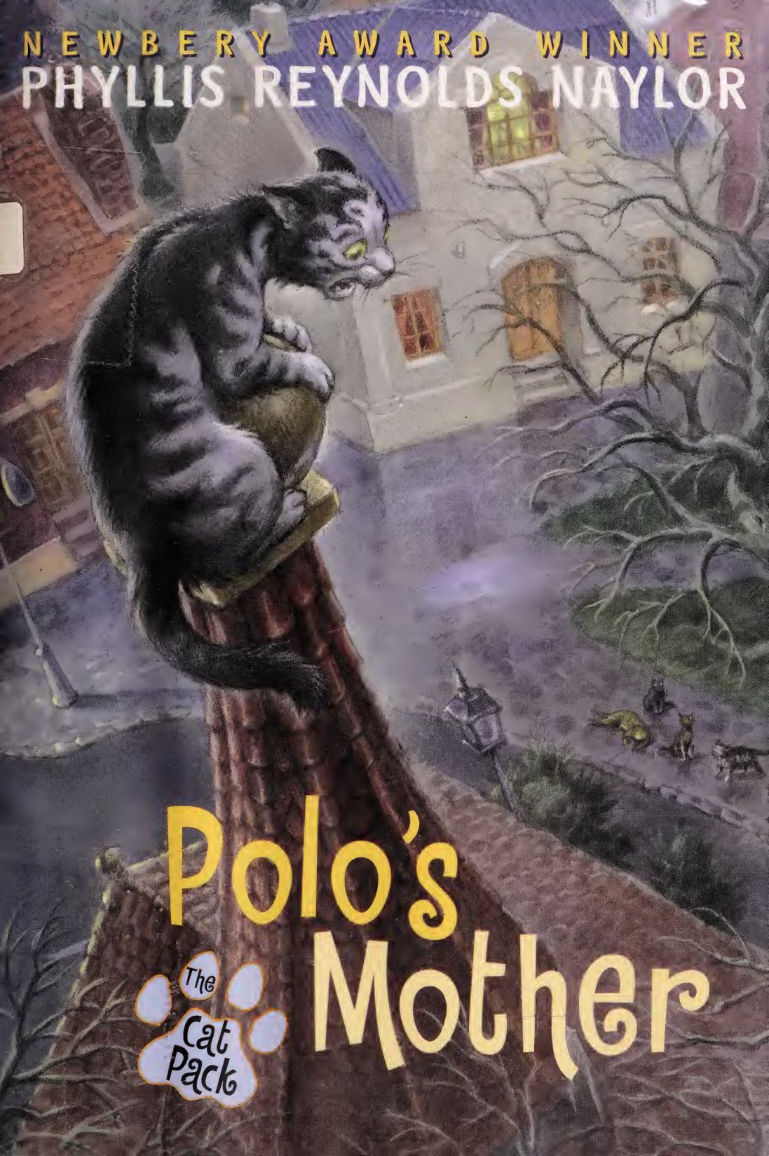 Cover of Polo's mother