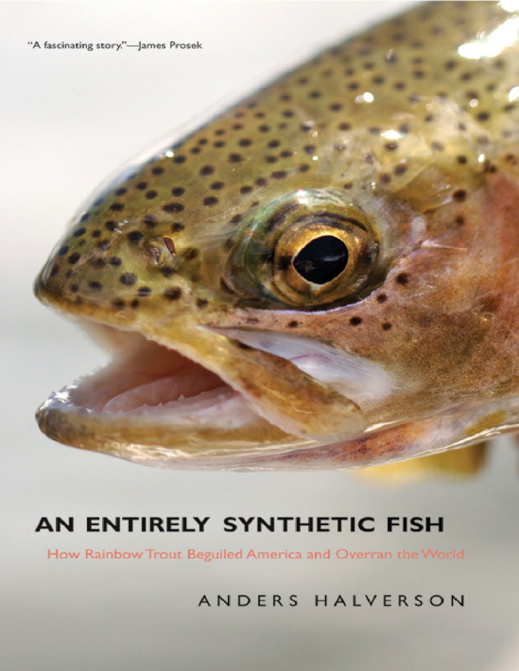 Cover of An Entirely Synthetic Fish