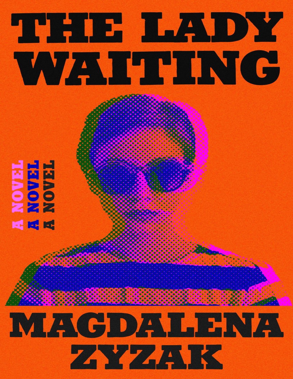 Cover of The Lady Waiting: A Novel