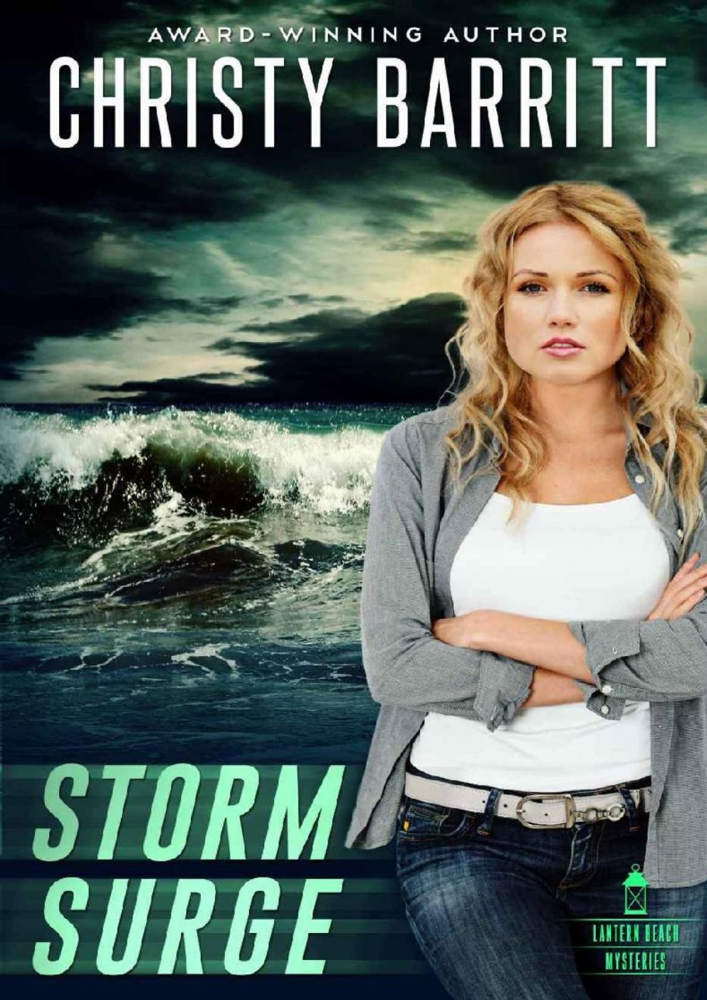 Cover of Storm Surge