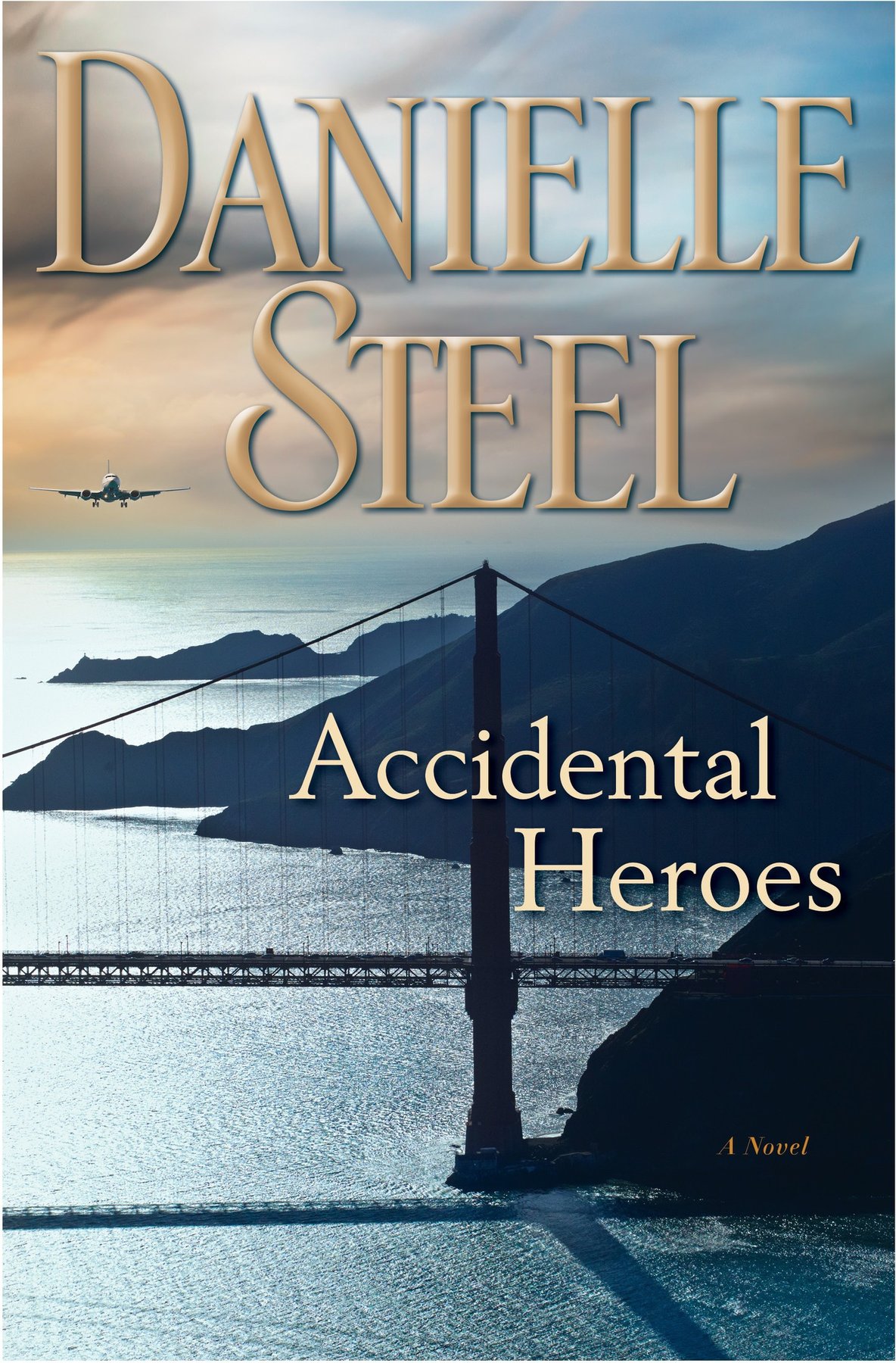 Cover of Accidental Heroes