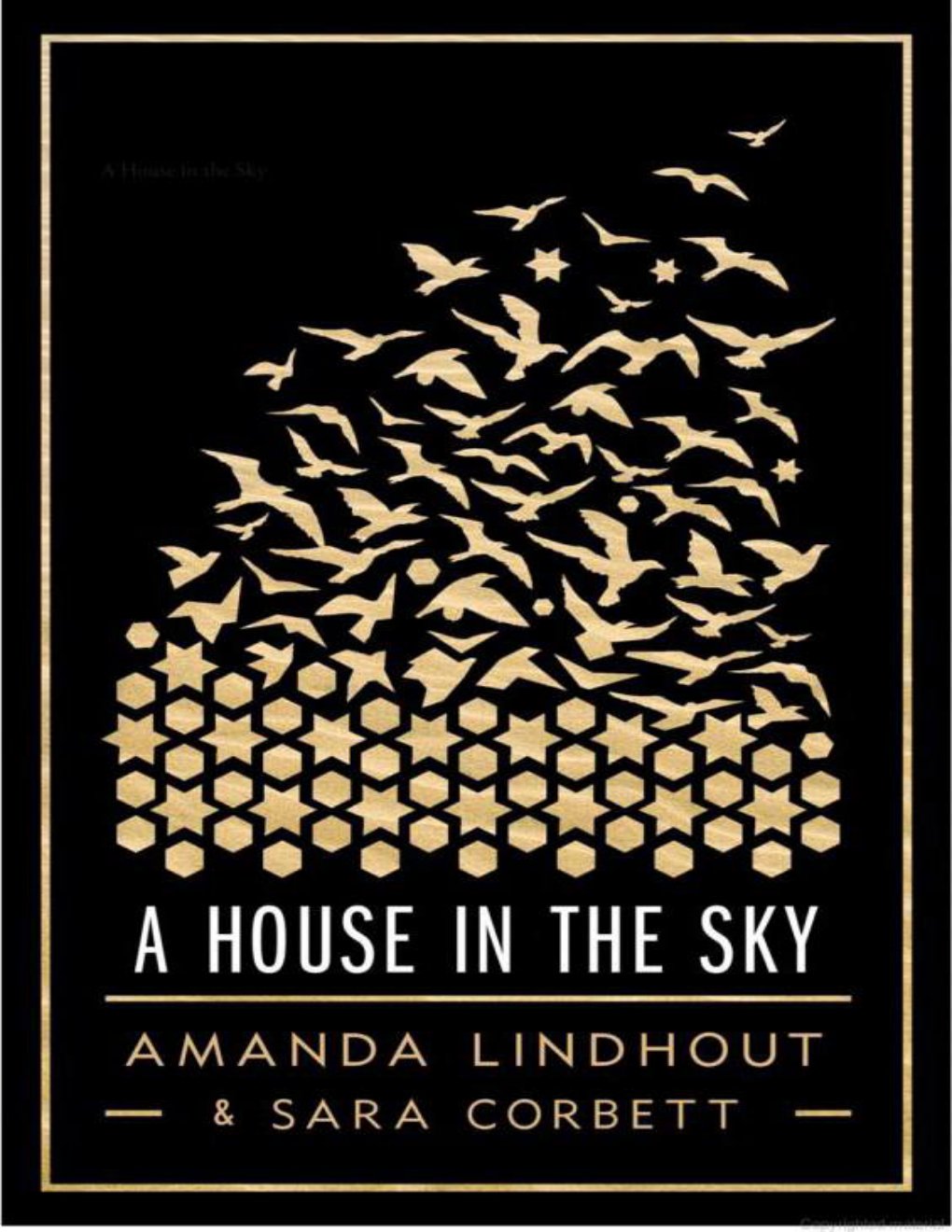 Cover of A House in the Sky