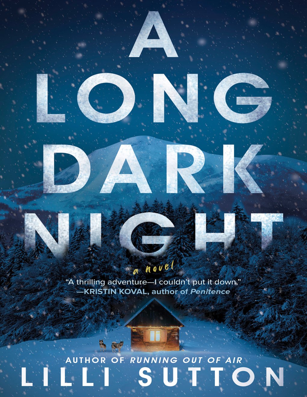 Cover of A Long Dark Night