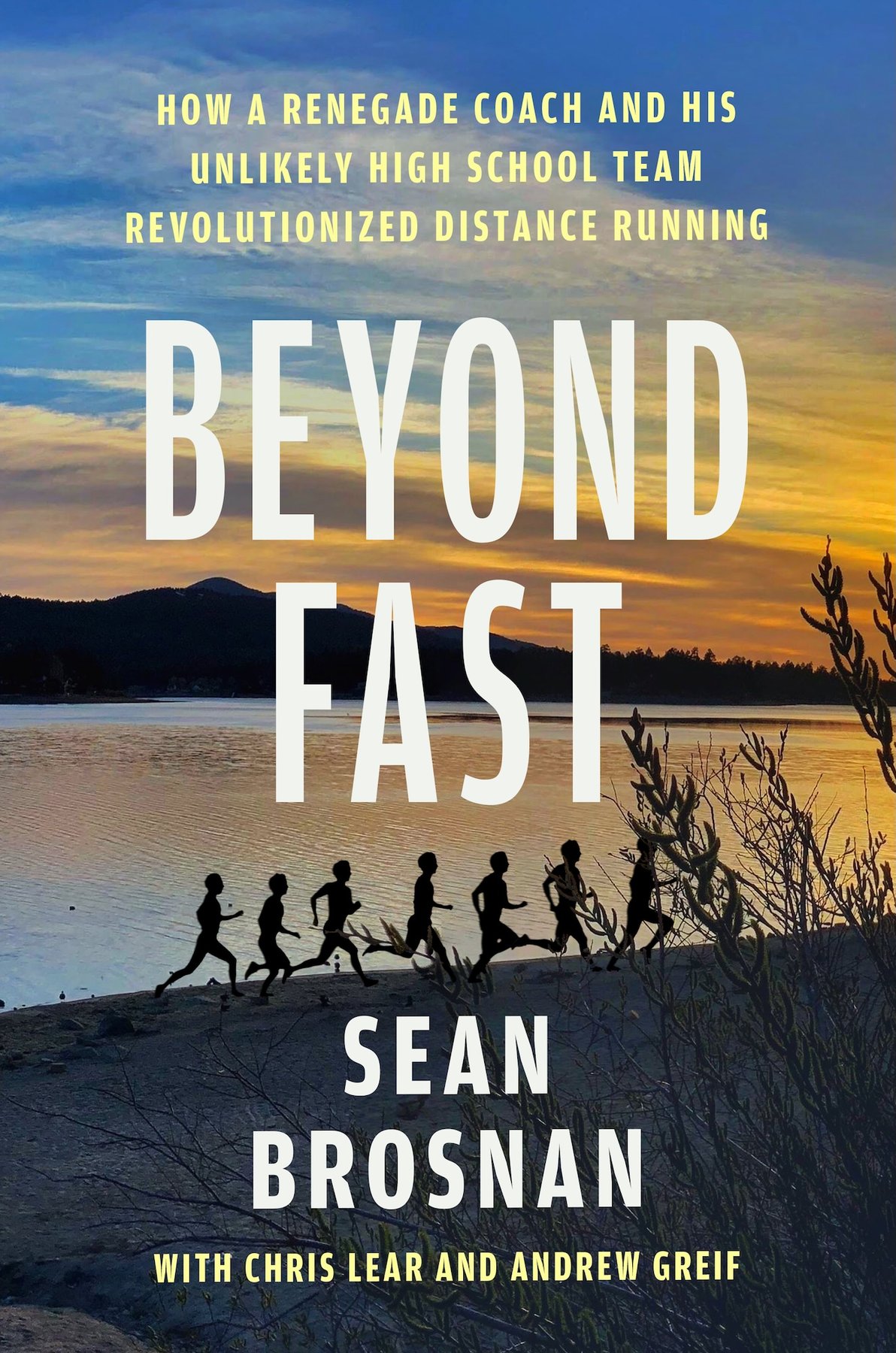Cover of Beyond Fast