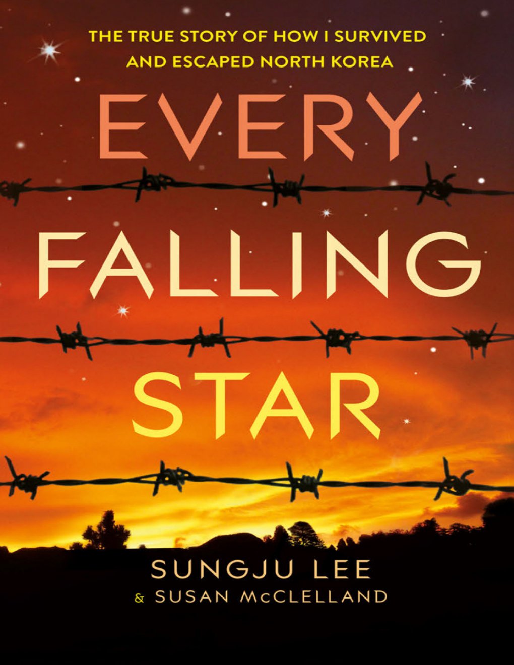 Cover of Every Falling Star