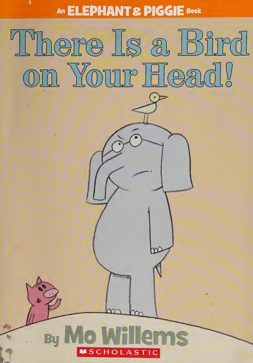 Cover of There is a bird on your head!