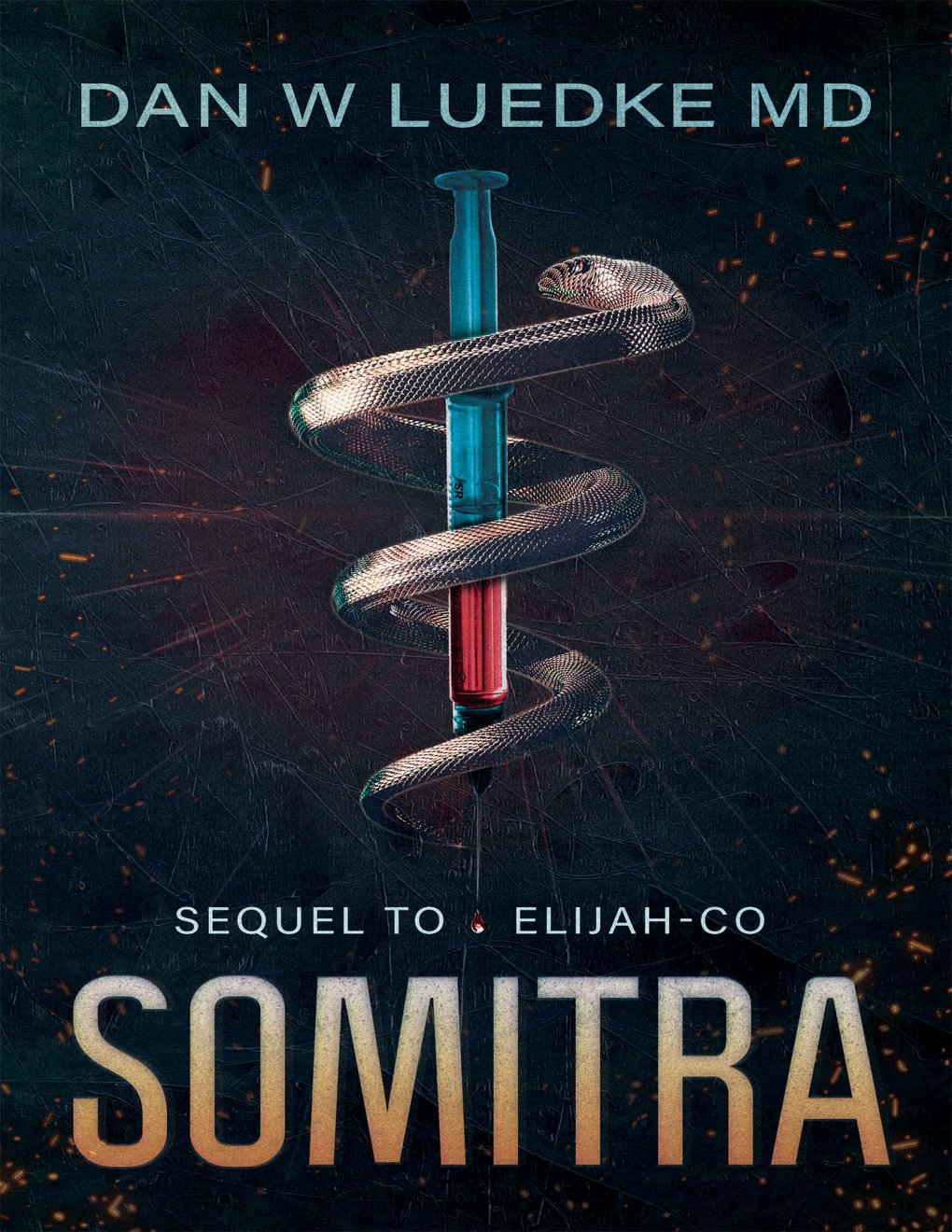 Cover of Somitra (2024)