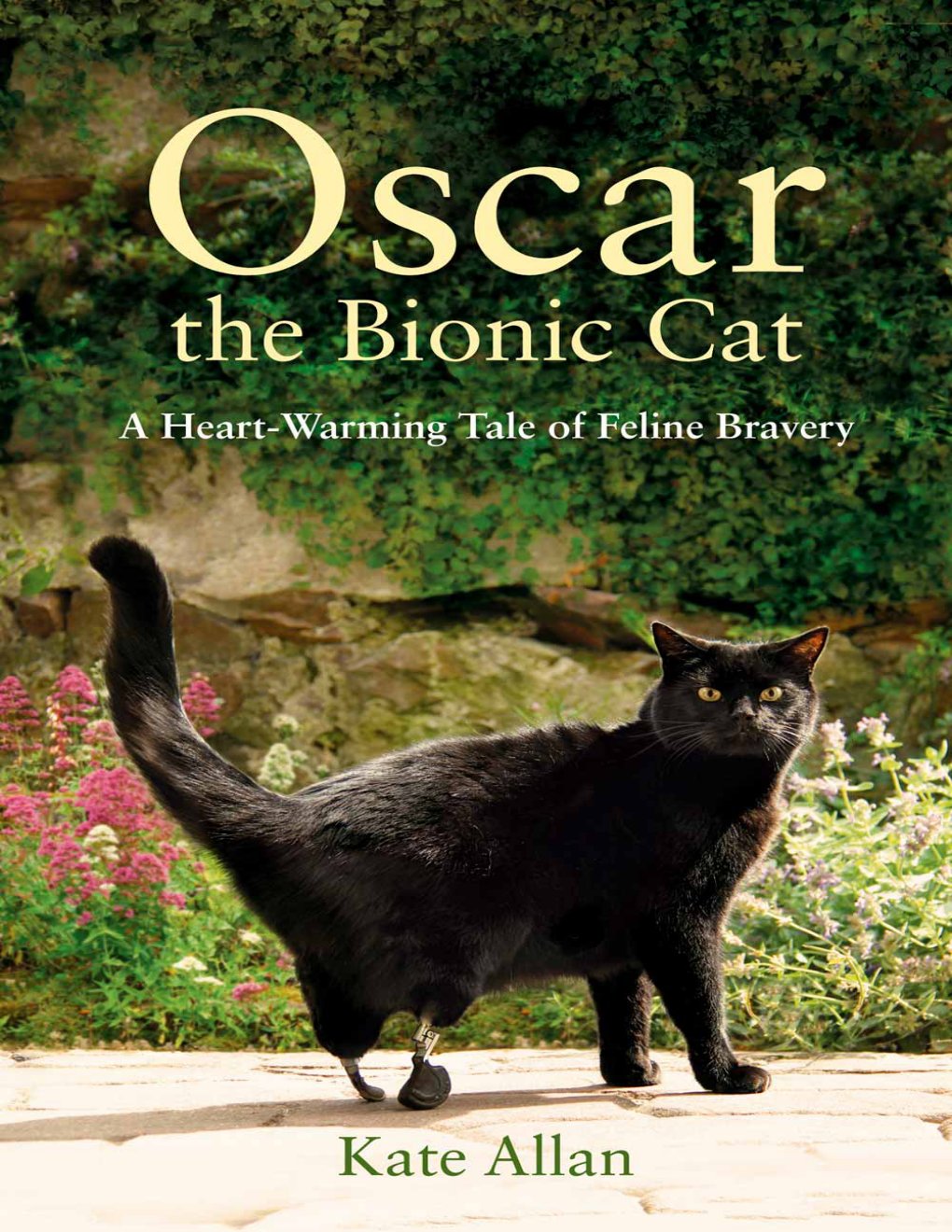 Cover of Oscar: The Bionic Cat