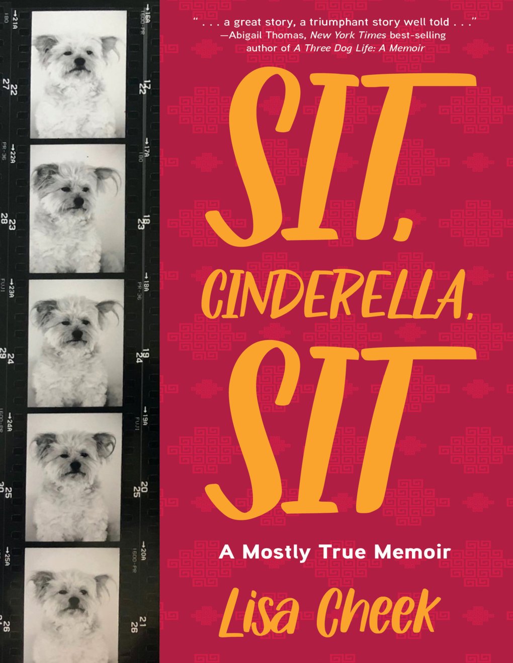 Cover of Sit, Cinderella, Sit