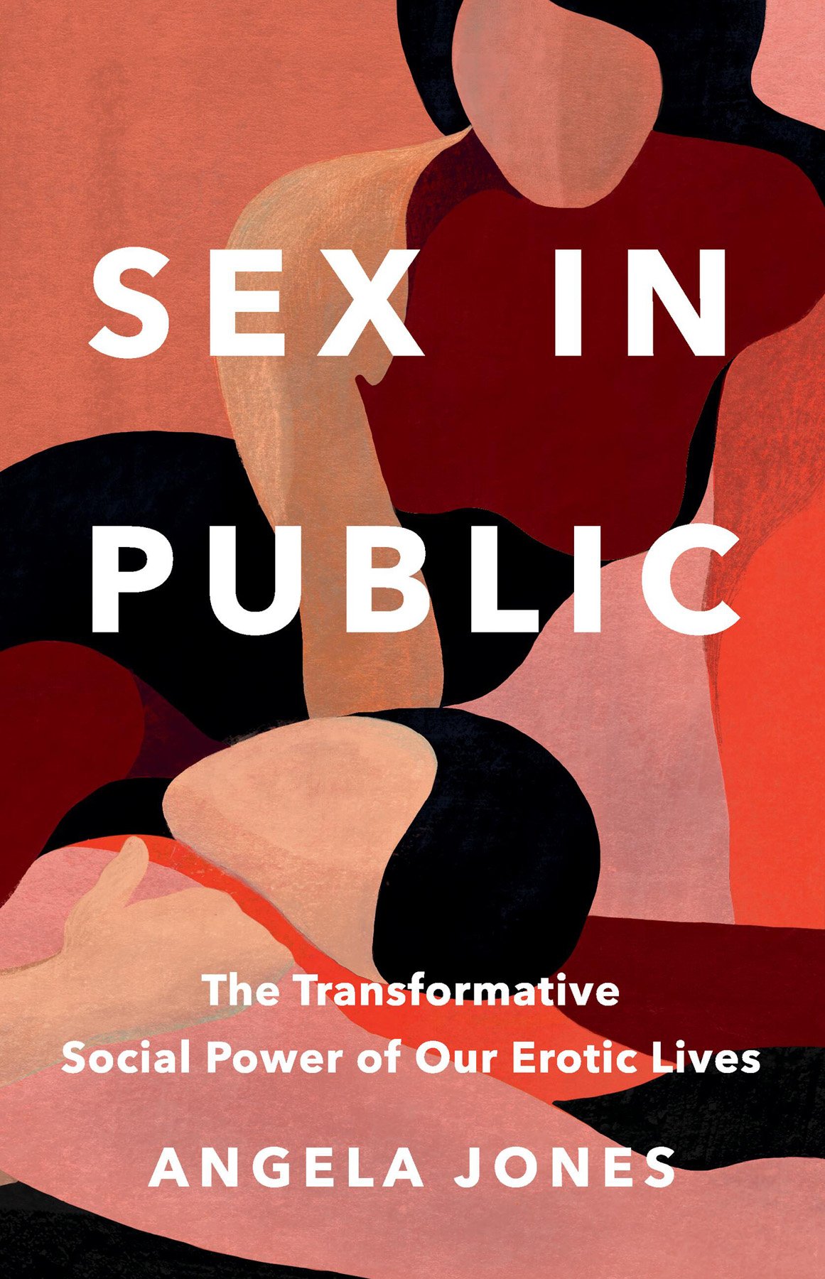 Cover of Sex in Public