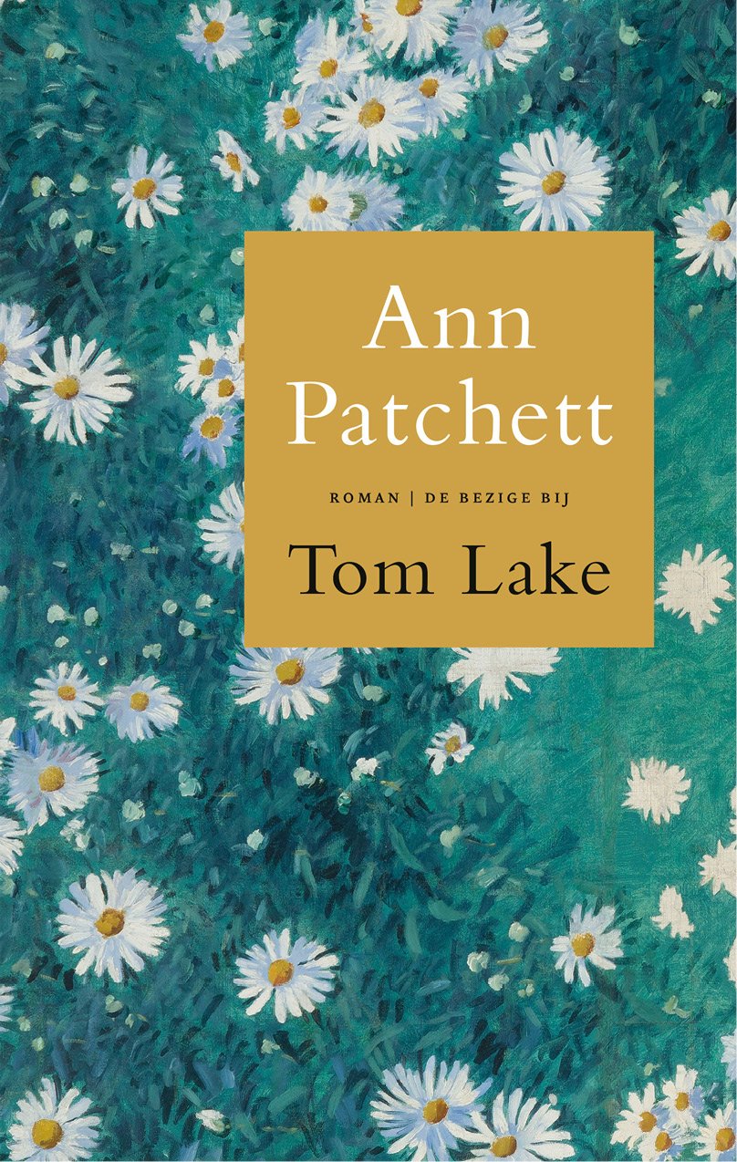 Cover of Tom Lake (1893)
