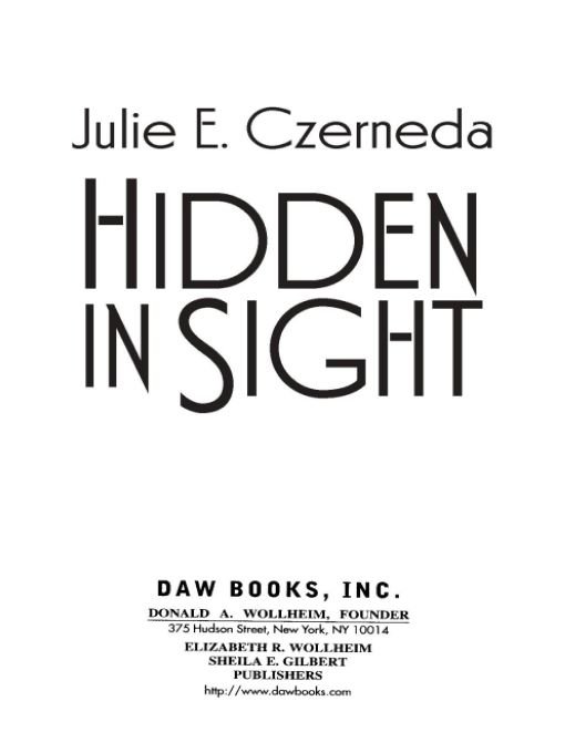 Cover of Hidden in Sight (2010)
