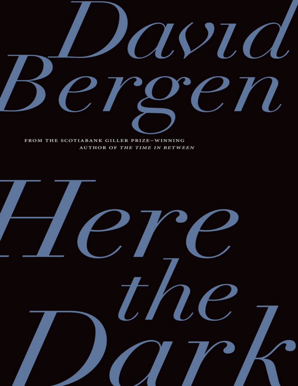 Cover of Here the Dark