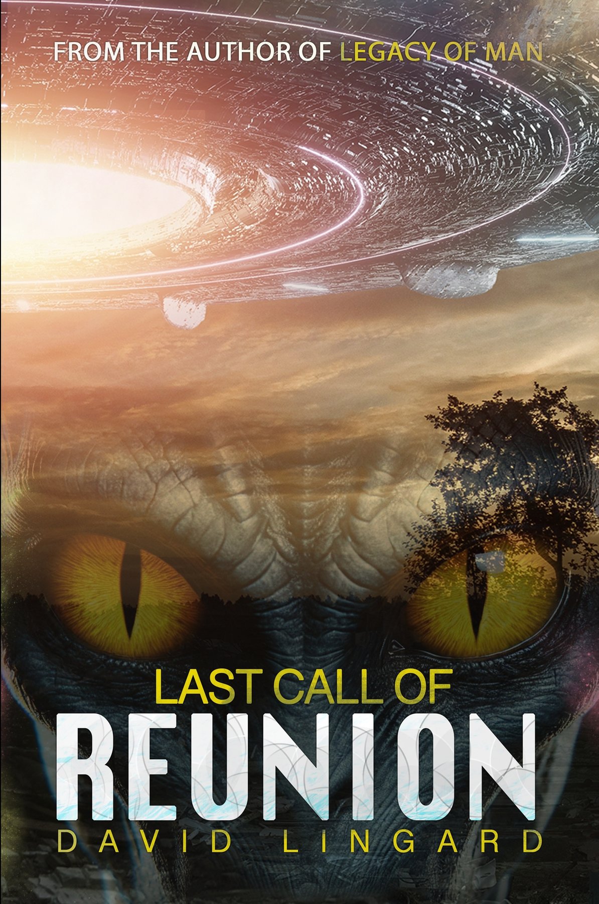 Cover of Last Call of Reunion: A Post-Apocalyptic Sci-Fi