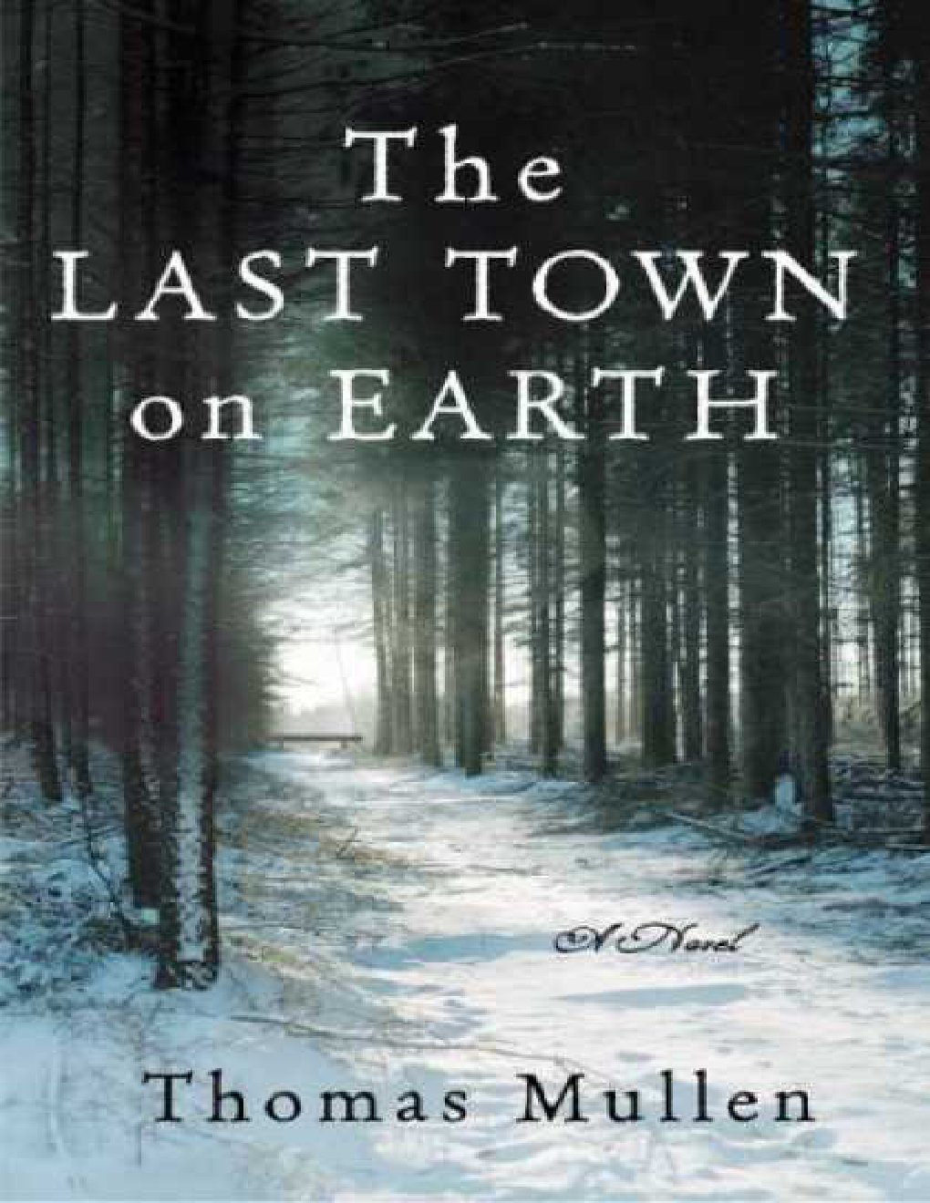Cover of The Last Town on Earth