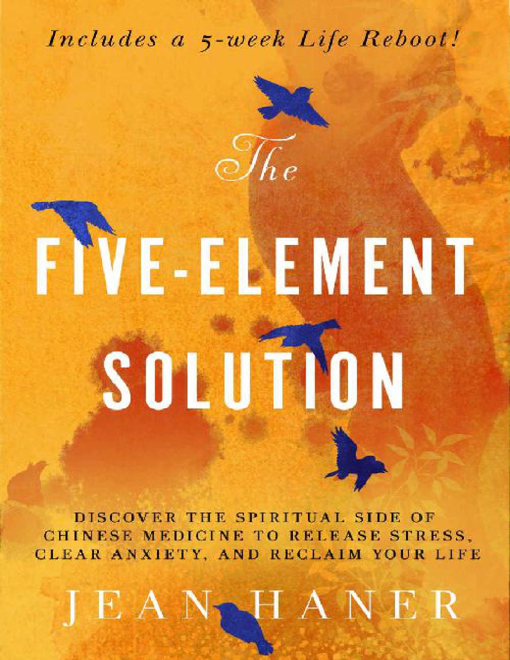 Cover of The Five-Element Solution