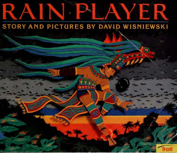 Cover of Rain player