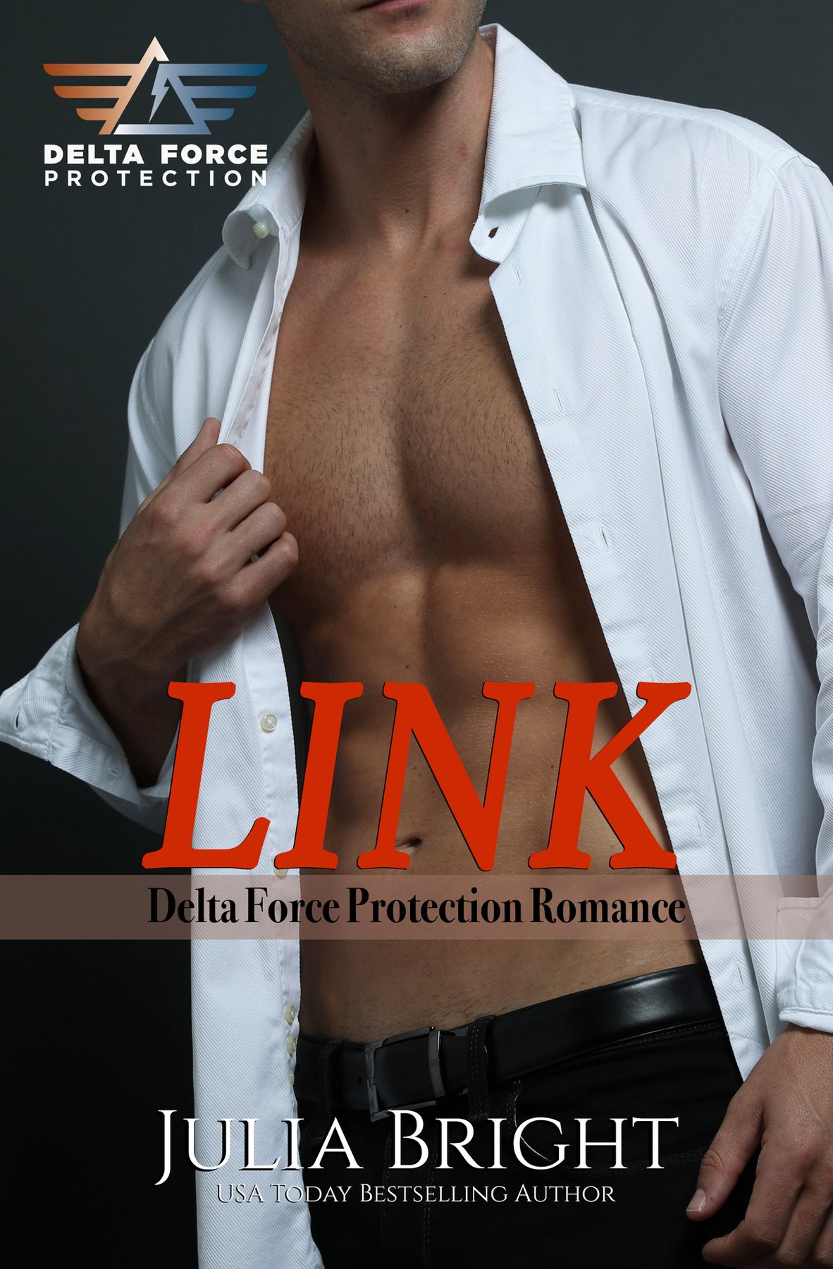 Cover of LInk: Delta Force Protection Romance