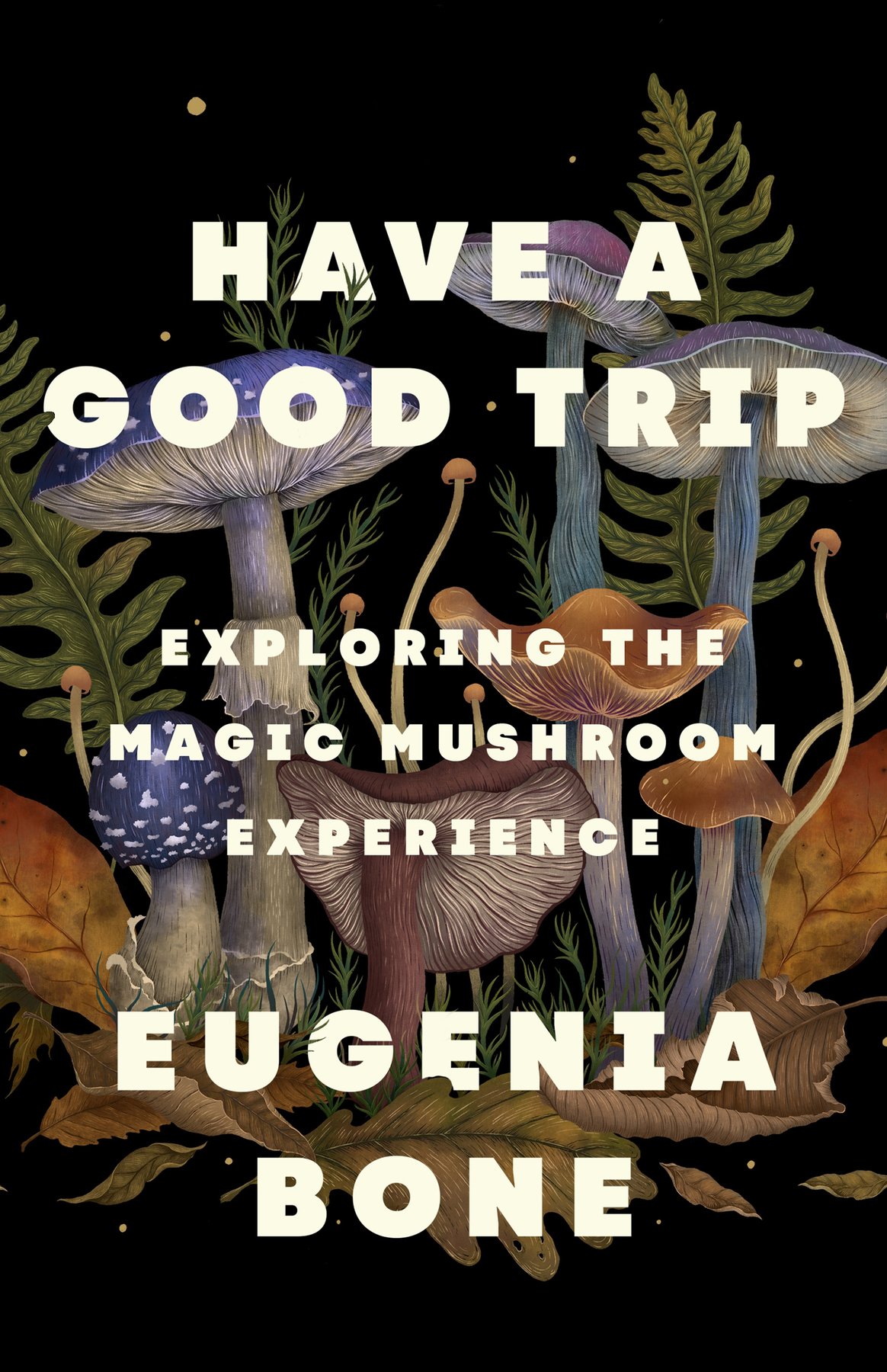 Cover of Have a Good Trip (1942)