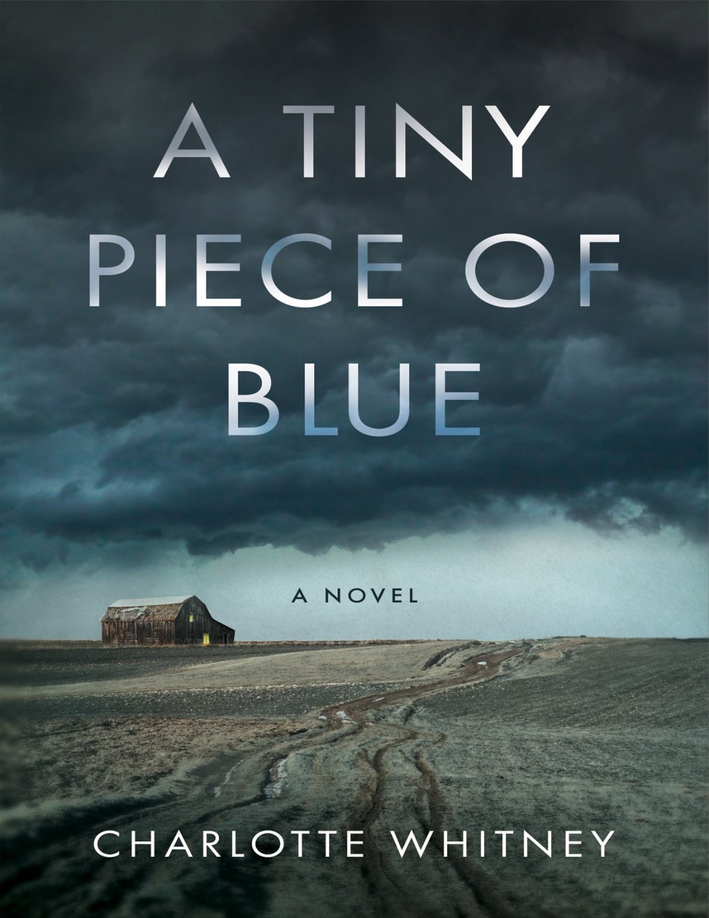 Cover of A Tiny Piece of Blue