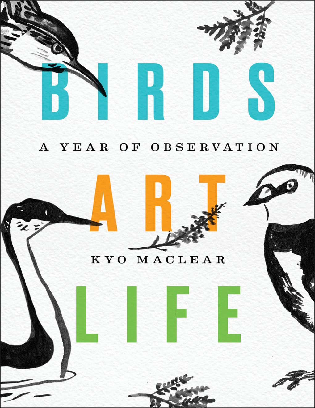 Cover of Birds Art Life