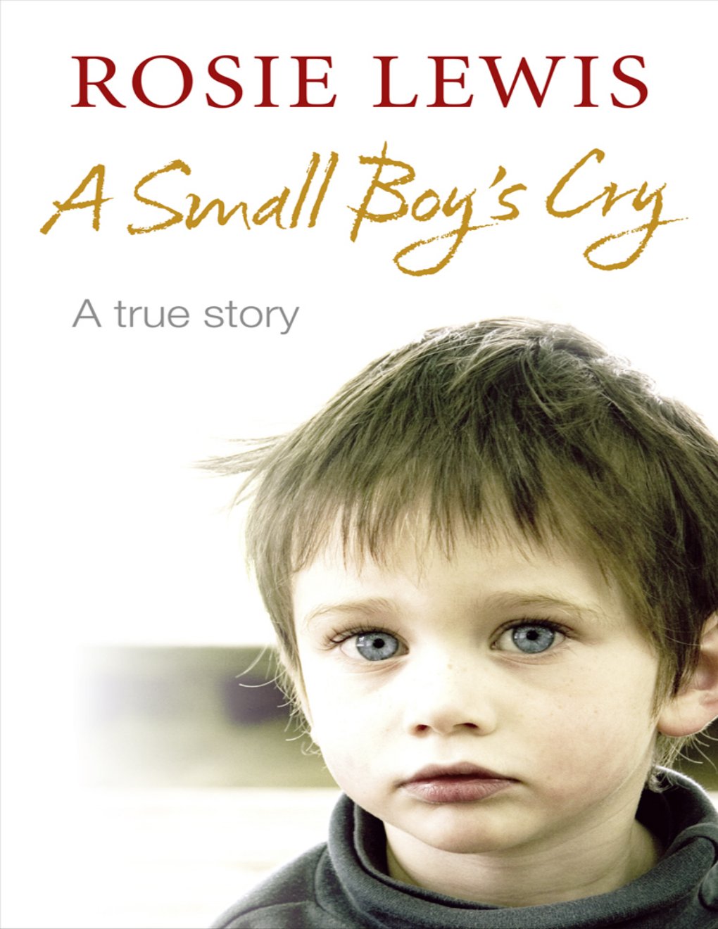Cover of A Small Boy's Cry