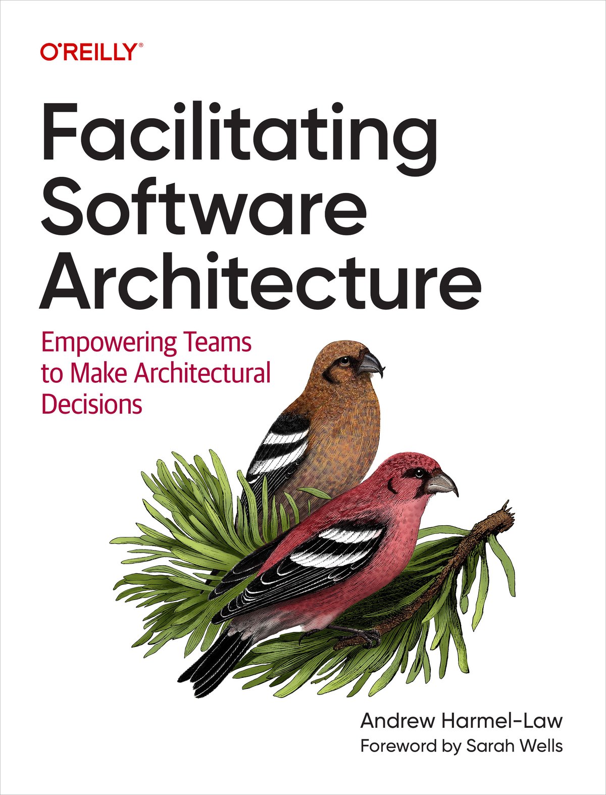 Cover of Facilitating Software Architecture (for Raymond Rhine)