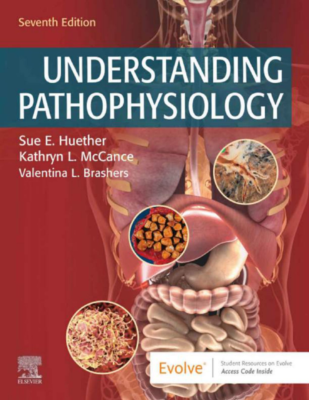 Cover of Understanding Pathophysiology