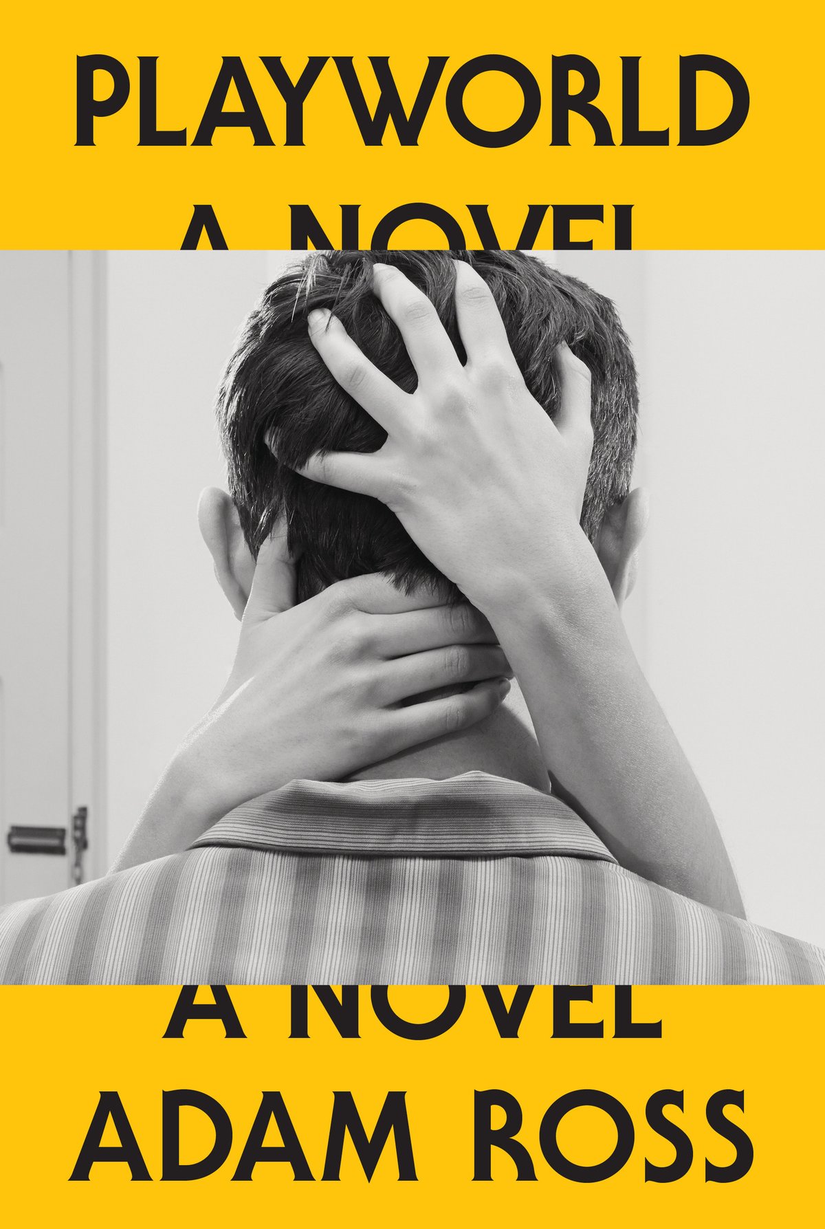Cover of Playworld; A Novel (1940)