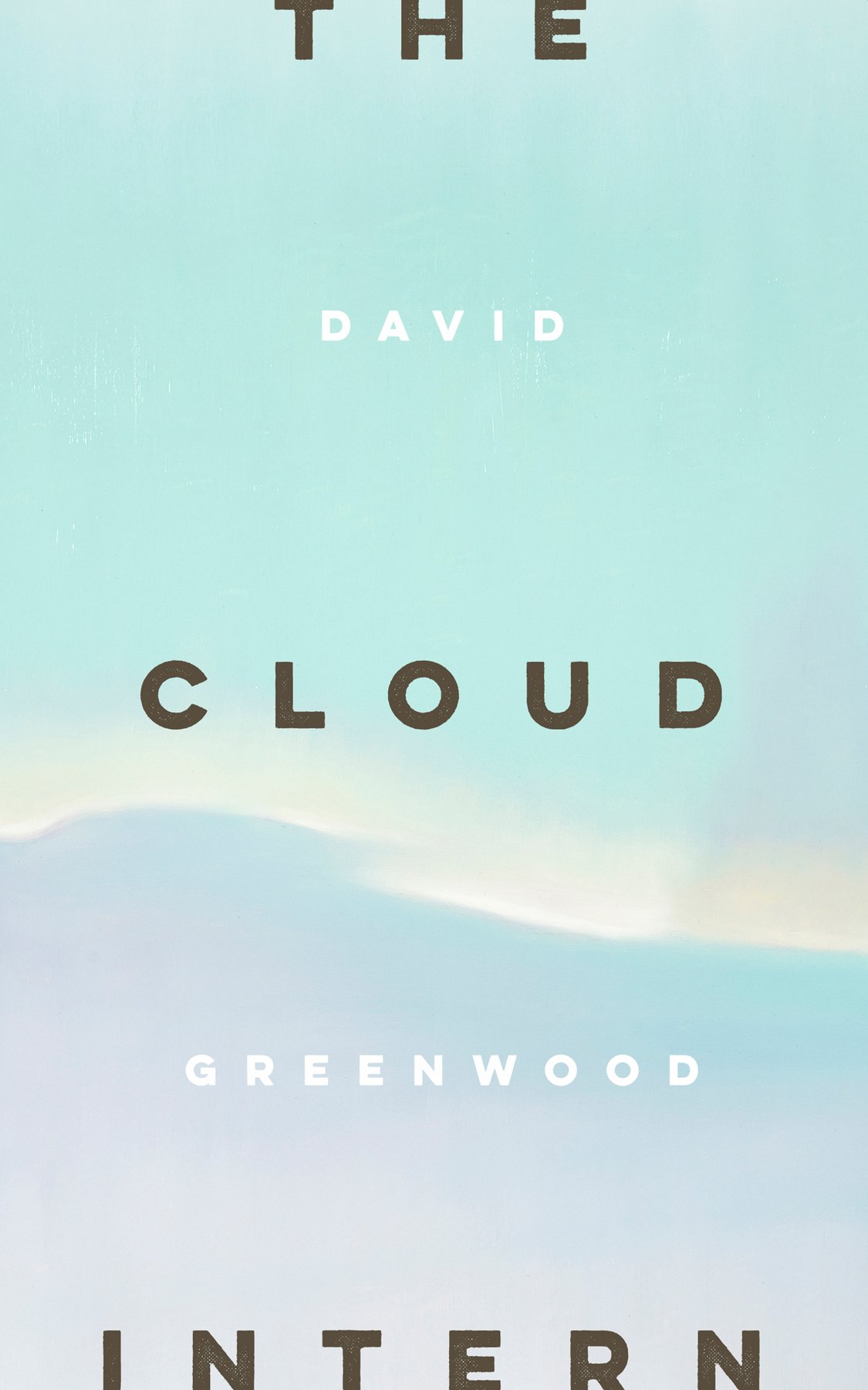 Cover of The Cloud Intern
