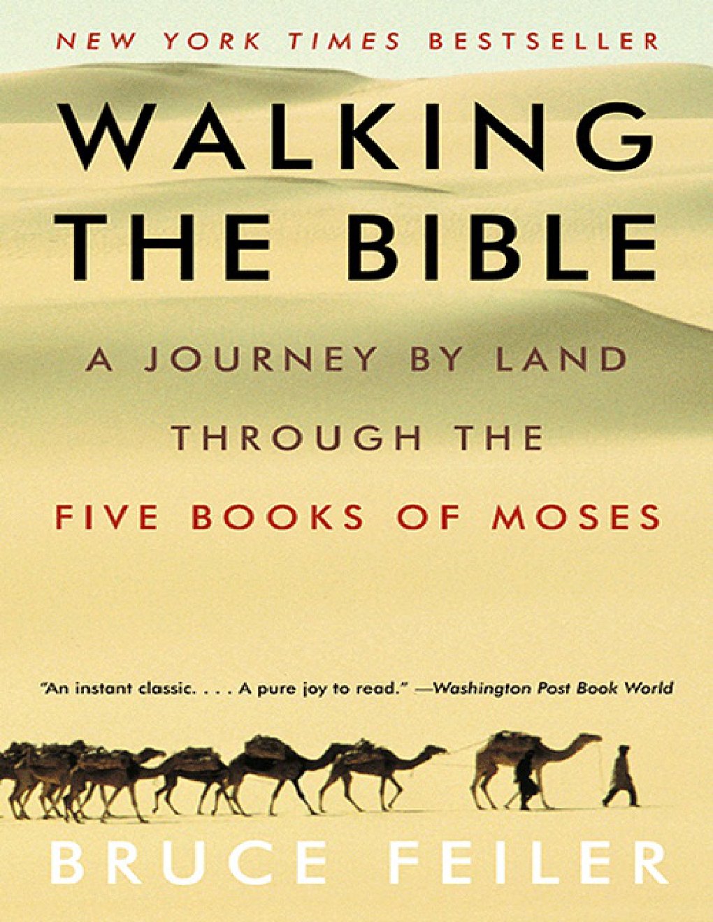 Cover of Walking the Bible