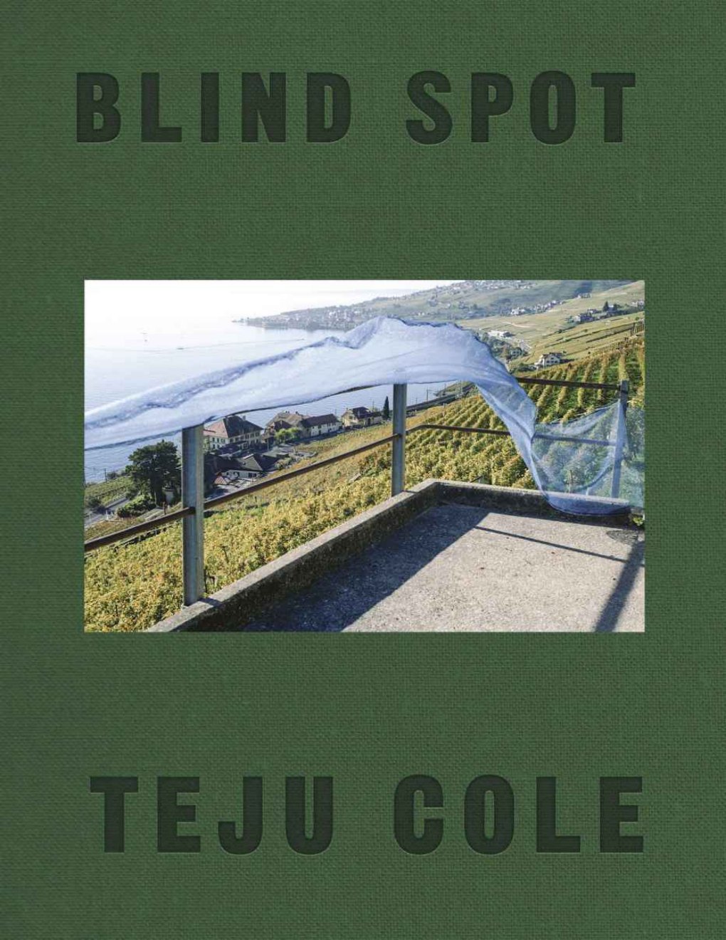 Cover of Blind Spot