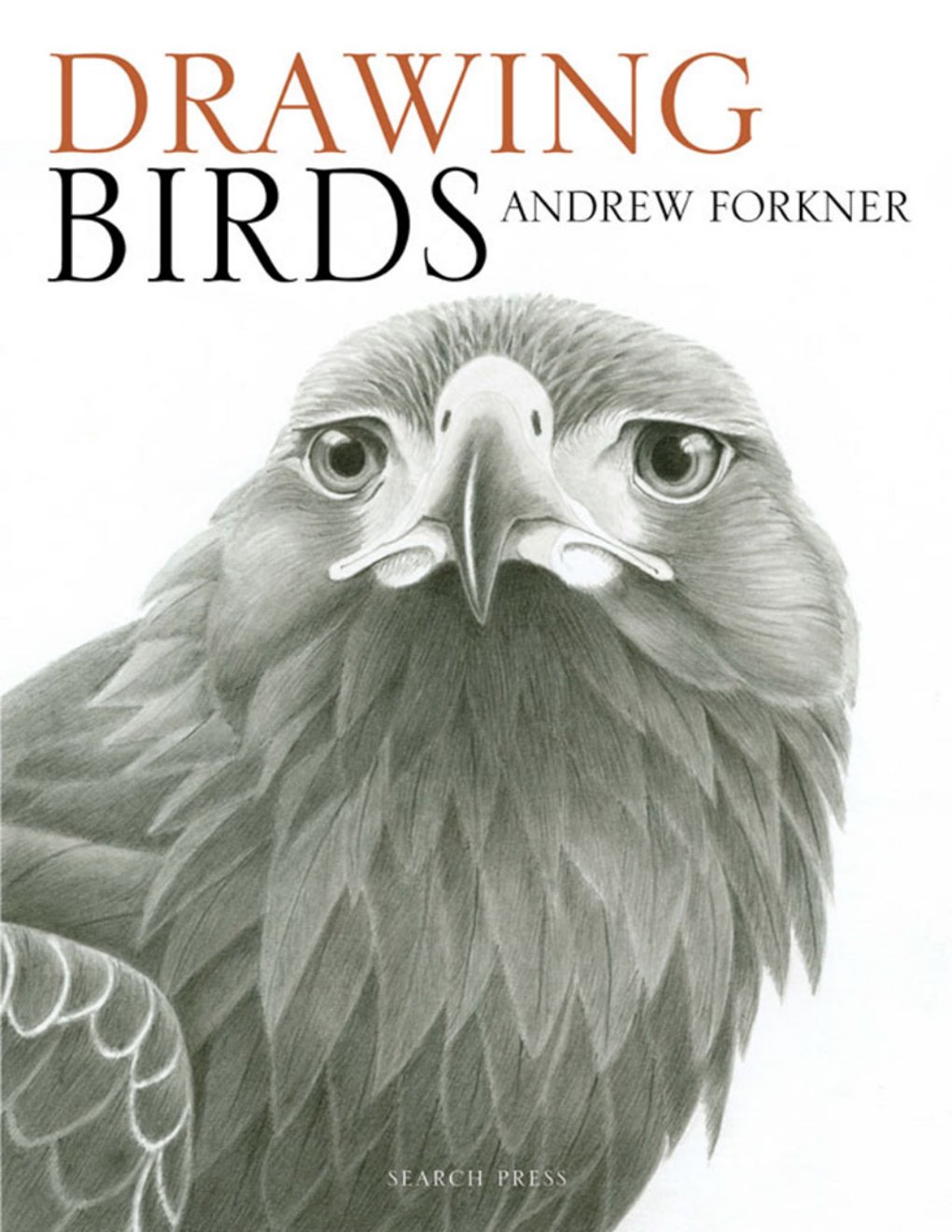 Cover of Drawing Birds