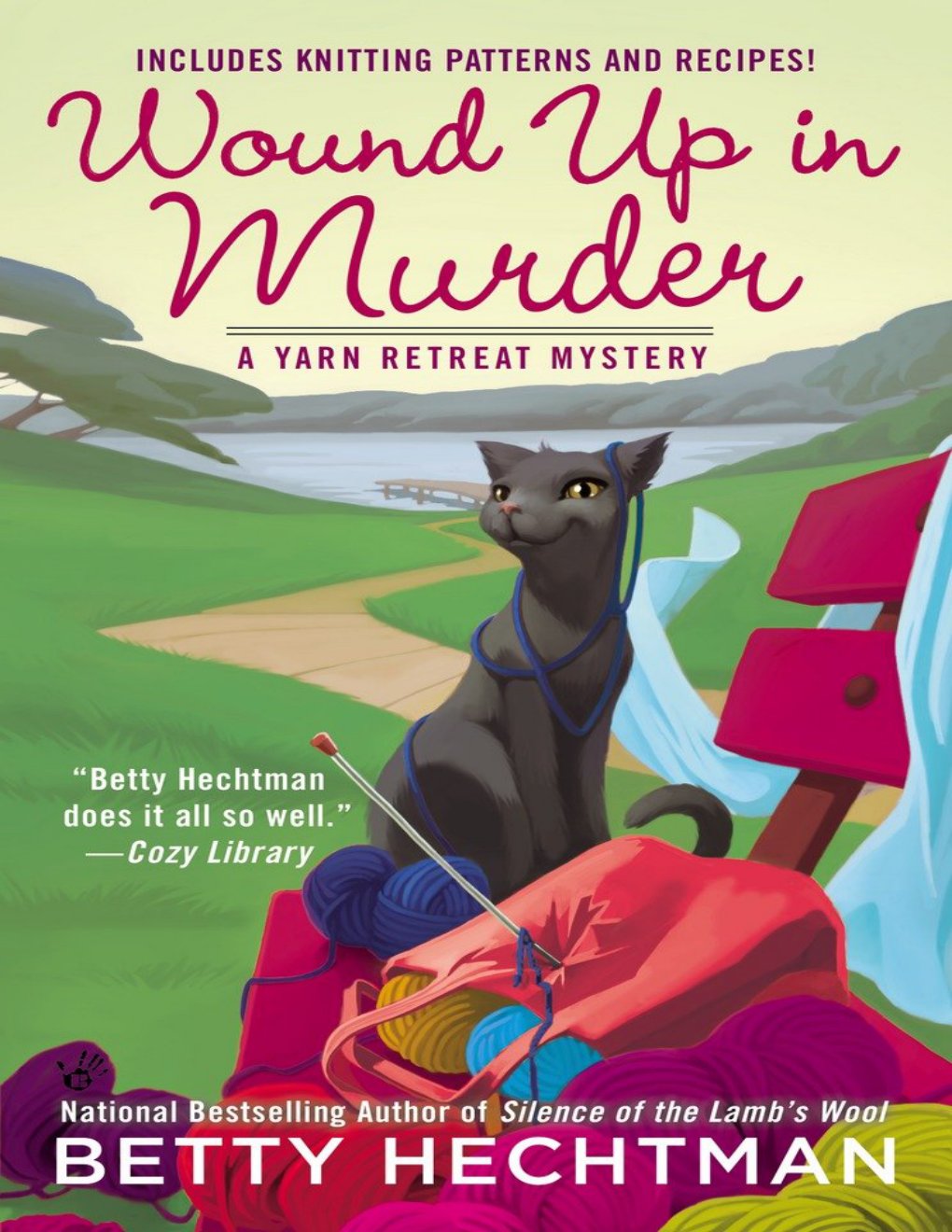 Cover of Wound Up In Murder