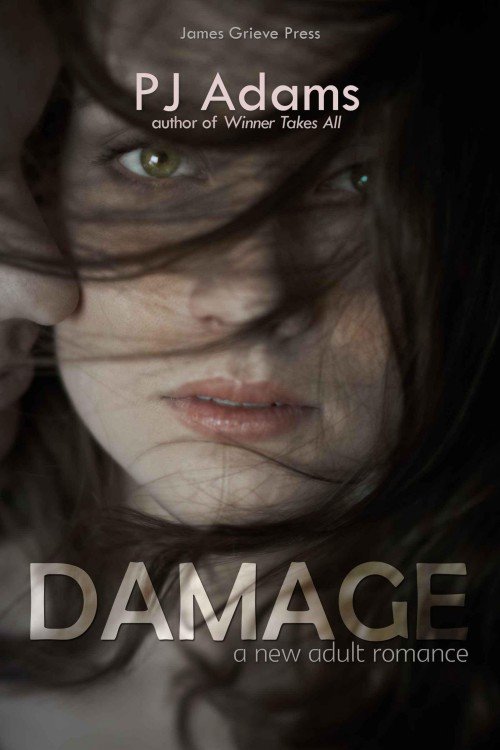 Cover of Damage