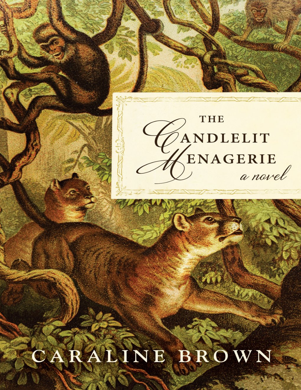 Cover of The Candlelit Menagerie